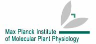 MPI for Molecular Plant Physiology