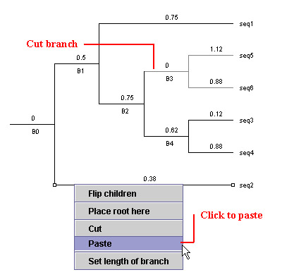 cutAndPasteBranch.jpg - 34378 Bytes