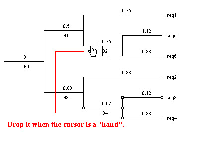 dropBranch.jpg - 27021 Bytes