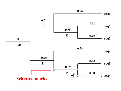 selectBranch.jpg - 22925 Bytes